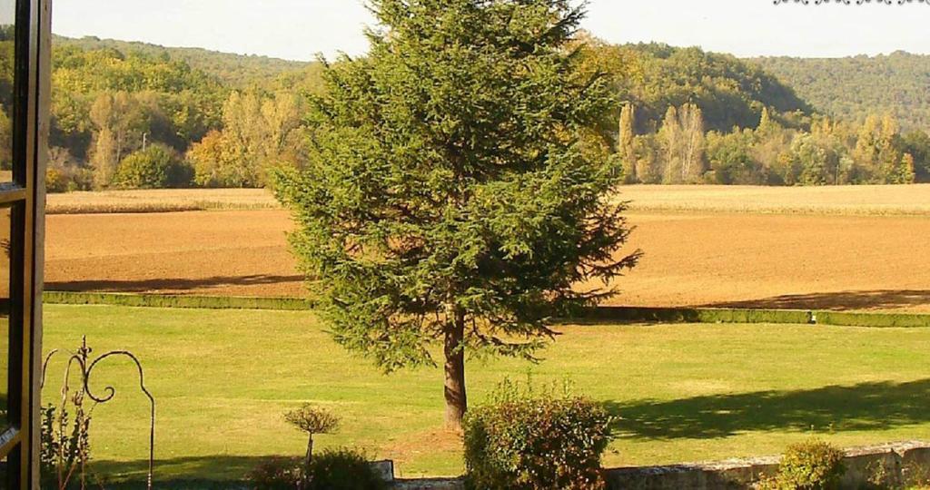 Chateau La Fleunie - Hotel Et Restaurant Condat-sur-Vezere Room photo